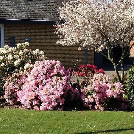 Horsens Room לינה וארוחת בוקר